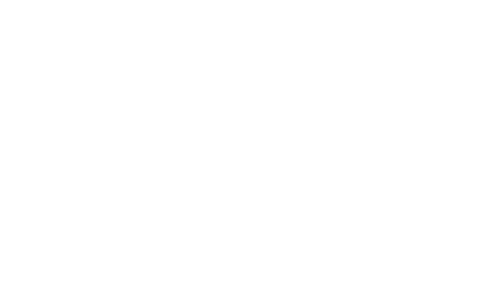 Equishox Logo White
