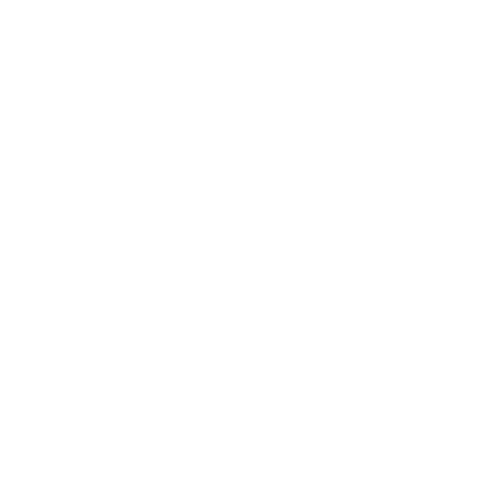 Equishox Logo