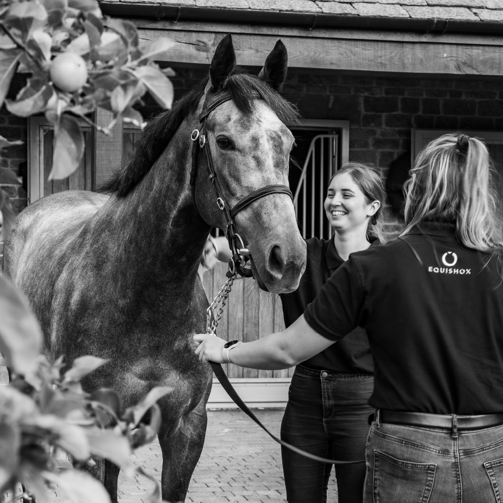 Racehorse welfare is at the forefront of Equishox innovation
