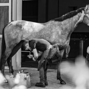 Aaron Tyler demonstrates horseracing innovation shoeing this thoroughbred with Equishox racing plates